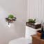 Porte-papier hygiénique mural-97790546