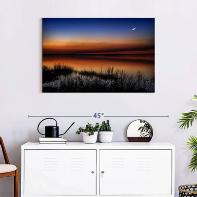 Alvord Florida Swamp Nightscape