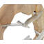 Figurine Gran-91479380