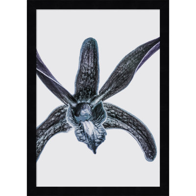 Parkerfield "Orchid" Print by Shot by Clint