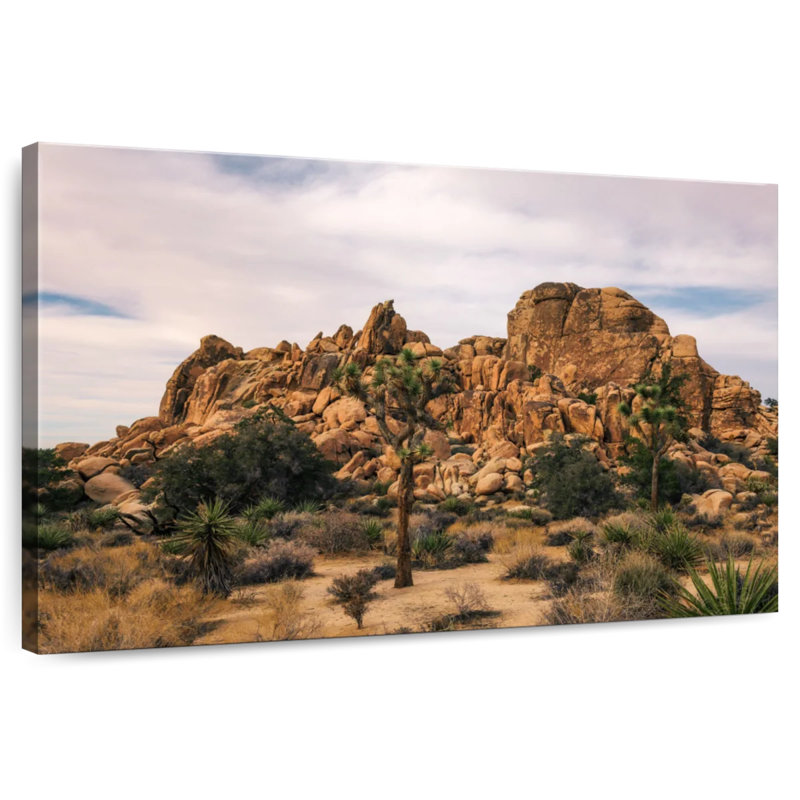 Nicci Joshua Tree Desert Scene, 26" H x 39" W