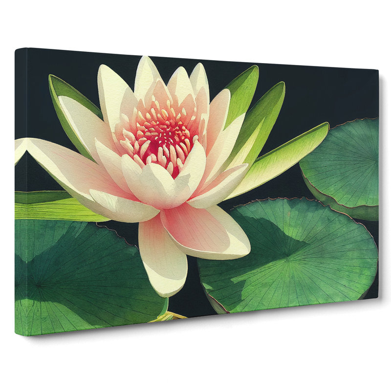 Watercolour Water Lily Flower Vol.1 - Wrapped Canvas, 35cm H x 50cm W x 3cm D