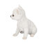 Polyresin Garden Statue-364149139