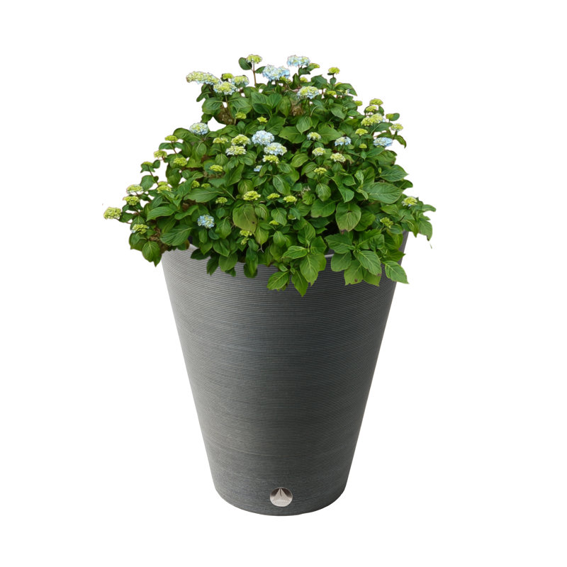Cara Ribbed Composite Pot Planter, 18.5" H x 15" W x 15" D, Charcoal
