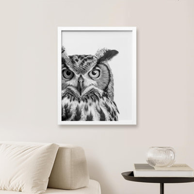 " Black And White Owl Photography "
