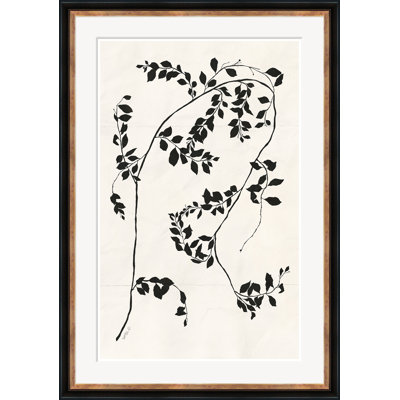 Clématite Vine II