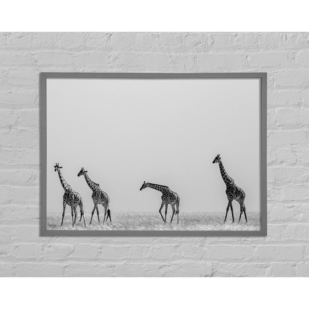 Giraffe Safari Lineup - Einzelne Bilderrahmen Kunstdrucke