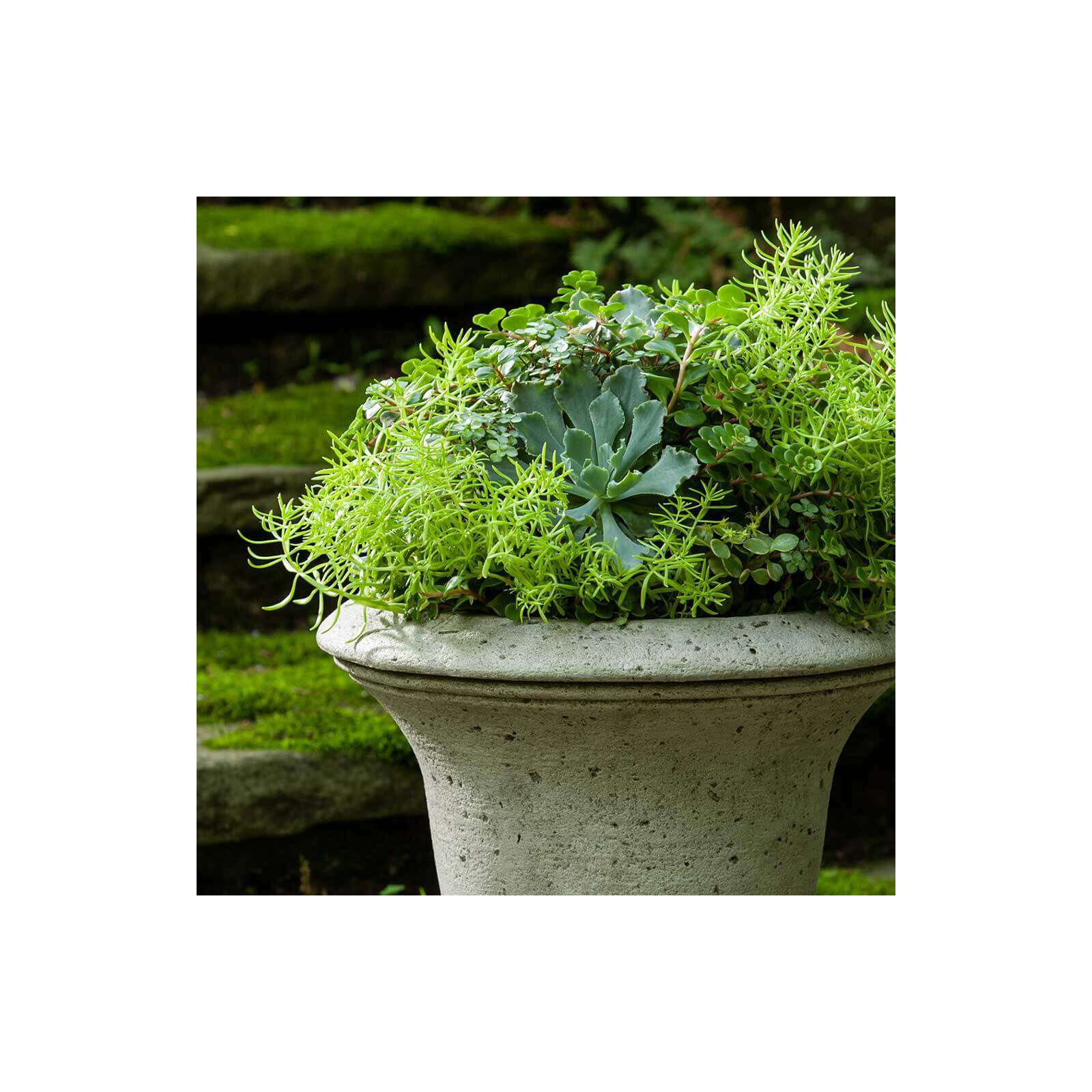 Linwood Handmade Urn Planter, Alpine Stone