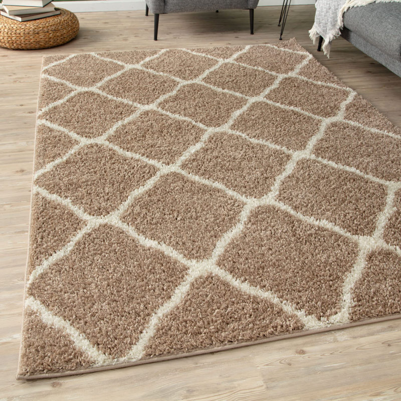 120cm X 170cm Area Rug