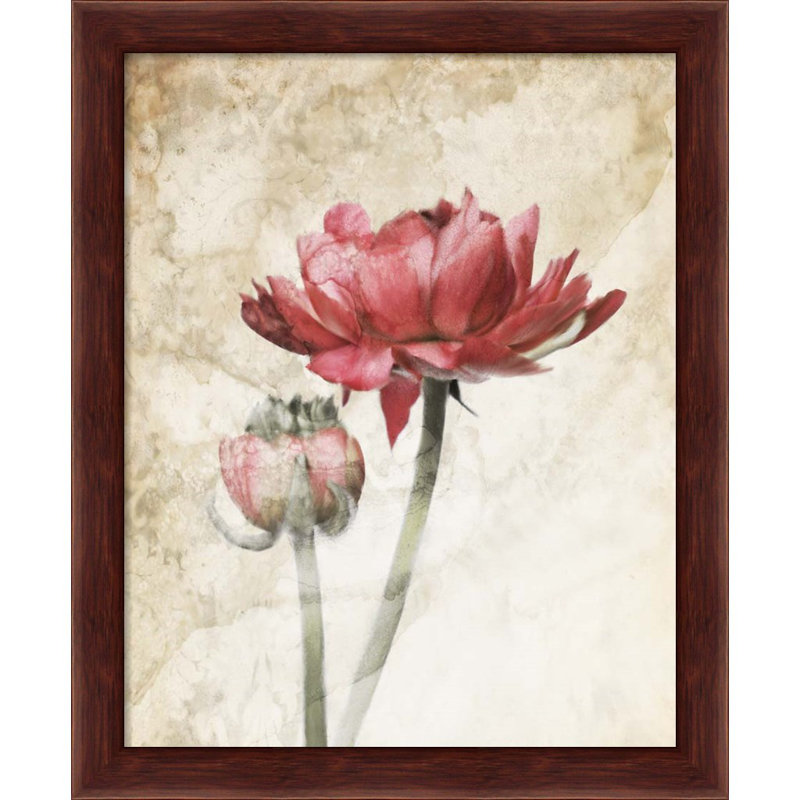 «Rav Ravissant Red & Striking Scarlet Bloom» par Katrina Jones, art encadré (ensemble de 2)