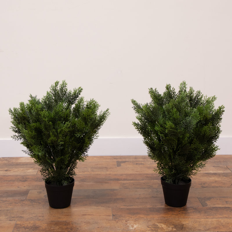 2ft. Artificial Cedar Tree UV Resistant (Indoor/Outdoor) - Set of 2, 24" H x 16" W x 16" D