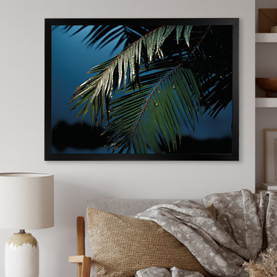 «Sapphire Solitude Palm Tree Night», reproduction sur toile
