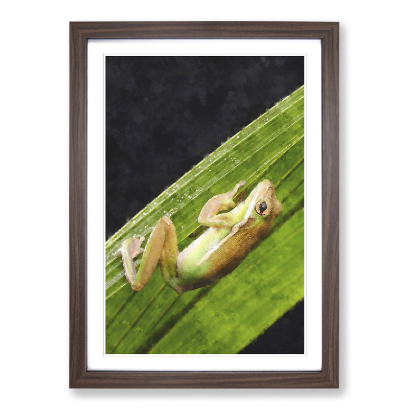 Frog Vol.1 - Framed Print, 48cm H x 36cm W x 2cm D, Walnut Framed