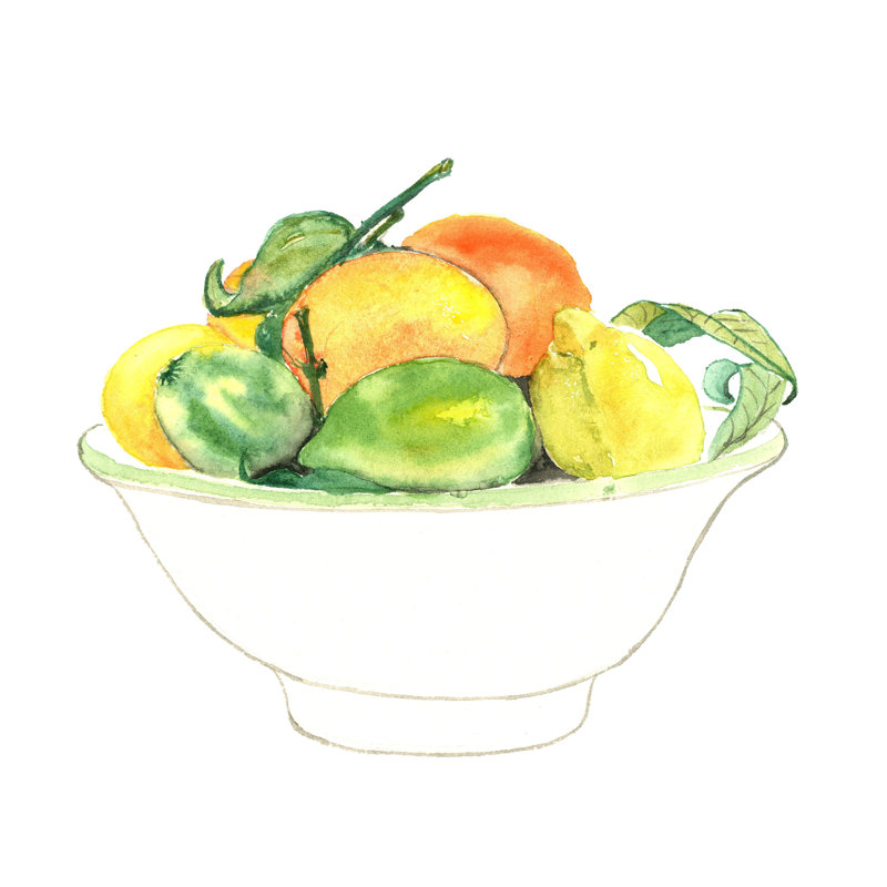 Bowl of Citrus - Painting Print, 30cm H x 46cm W, Black Floater Framed