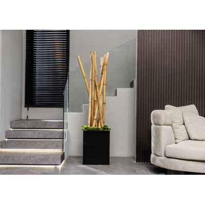 68" Artificial Bamboo Branch in Planter