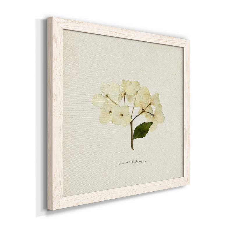 Cornales Hydrangea II - toile encadrée de qualité supérieure - prête à être accrochée, H 35,5 po x l 35,5 po x P 1,5 po