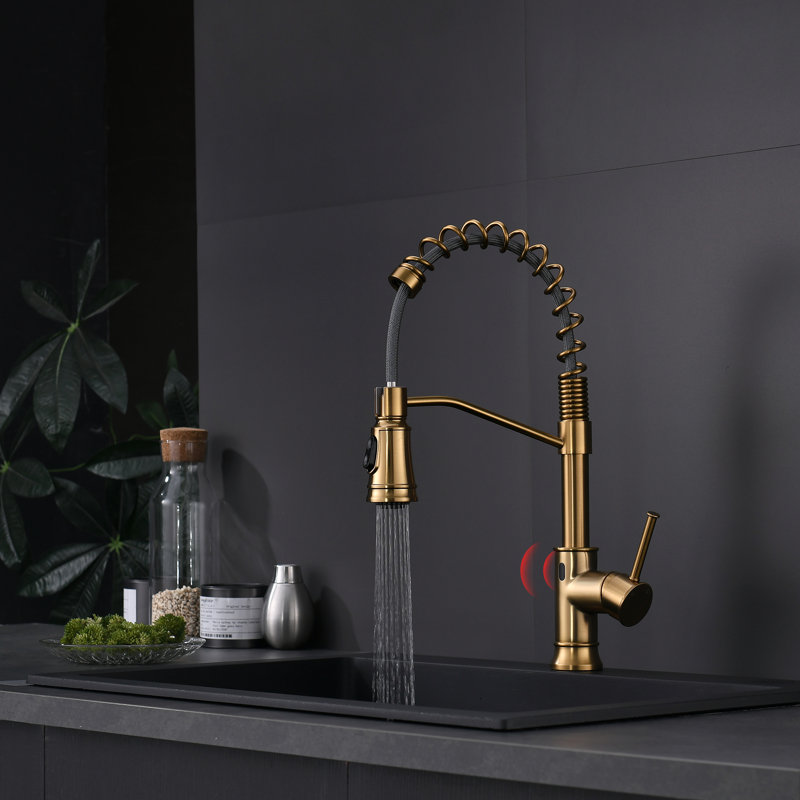 FLG Pull Down Touchless Kitchen Faucet