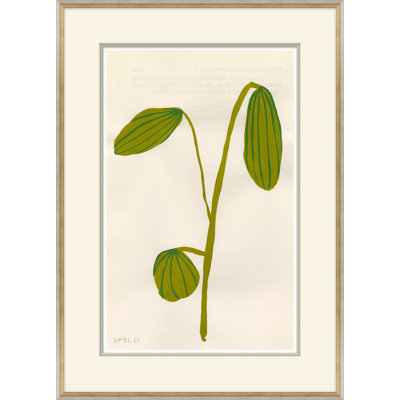Fruity II Giclee Print by Susan Hable