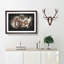 Tiger - Picture Frame Graphic Art Print-56863951-56863952