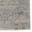Jain Oriental Area Rug in Beige