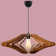 Adjustable Cable Special Design Chandelier