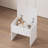 Small Space Vanity Table Set with 3 Adjustable Lighted Mirror & Storage Chair