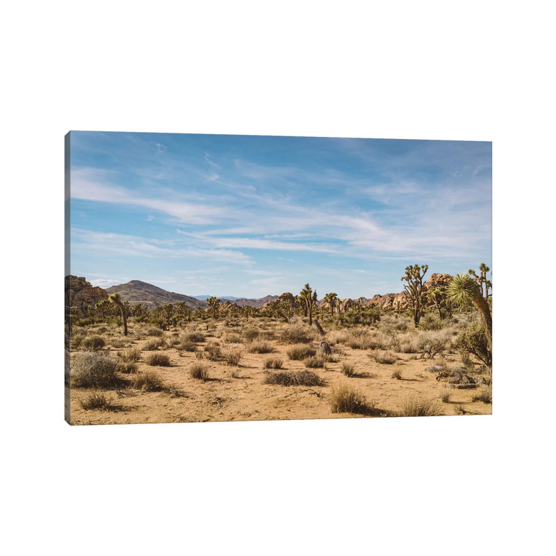 Joshua Tree National Park XXIV by Bethany Young - Print on Canvas, Wrapped Canvas, 66.04cm H x 101.6cm W x 3.81cm D
