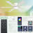 56" RGB Ceiling Fans With Lights - App And Remote Control, Quiet Reversible DC Motor, Flush Mount Double-Sided Blades, 3CCT Dimmable, Smart Low Profile Ceiling Fan For Bedroom Kids Room-1254854462-1254854456