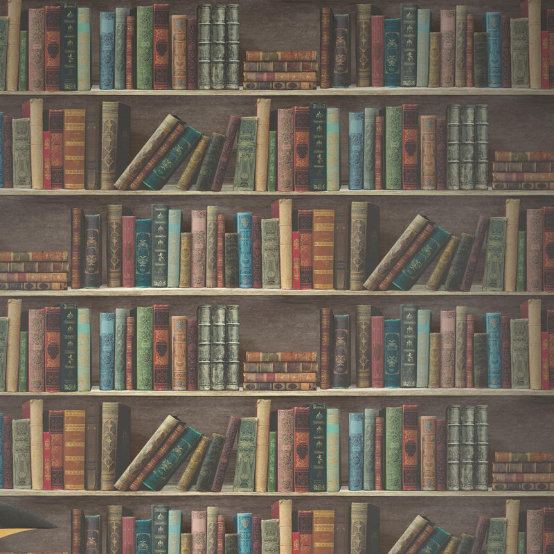  Library Bookshelf Books Shelves Classic Realistic Bookcase Wallpaper Retro