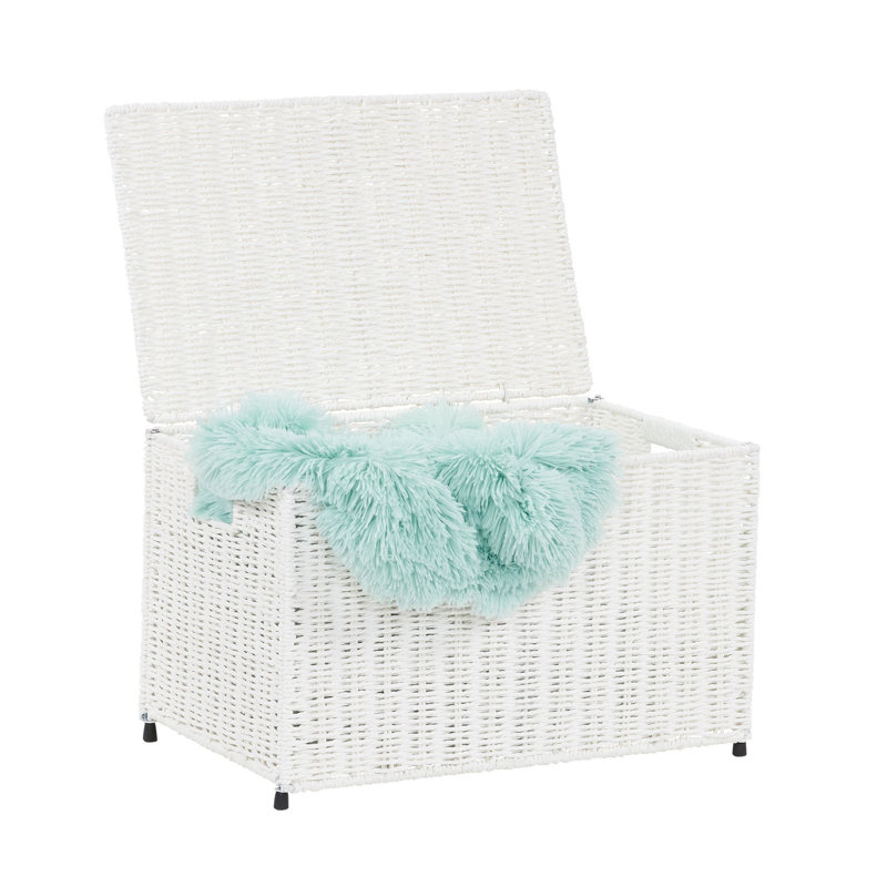 Coffre de rangement en osier tissé, Blanc arctique