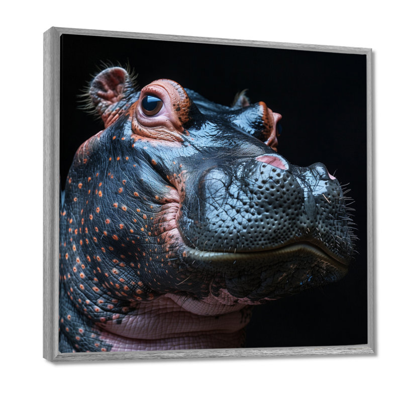 Décoration murale hippopotame sur fond noir II - Hippopotame animal, Encadrement argenté, H 36 po x l 36 po x P 1,5 po