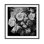 Fading Roses - Picture Frame Photograph on Paper 