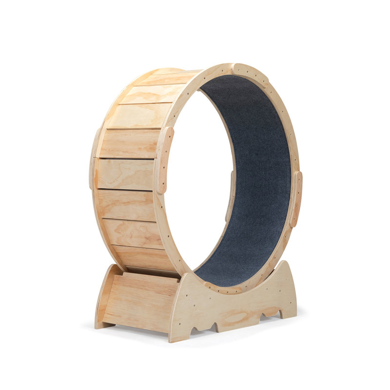 Grande roue de course pour chats d'intérieur