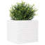 2 Outdoor Planter-100491953-100491928