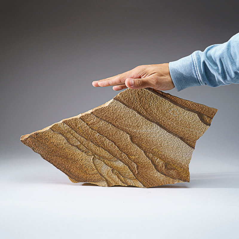 Genuine Sandstone Slice From Arizona (6.5 Lbs)