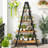 Jennia Bookcase-2044241662