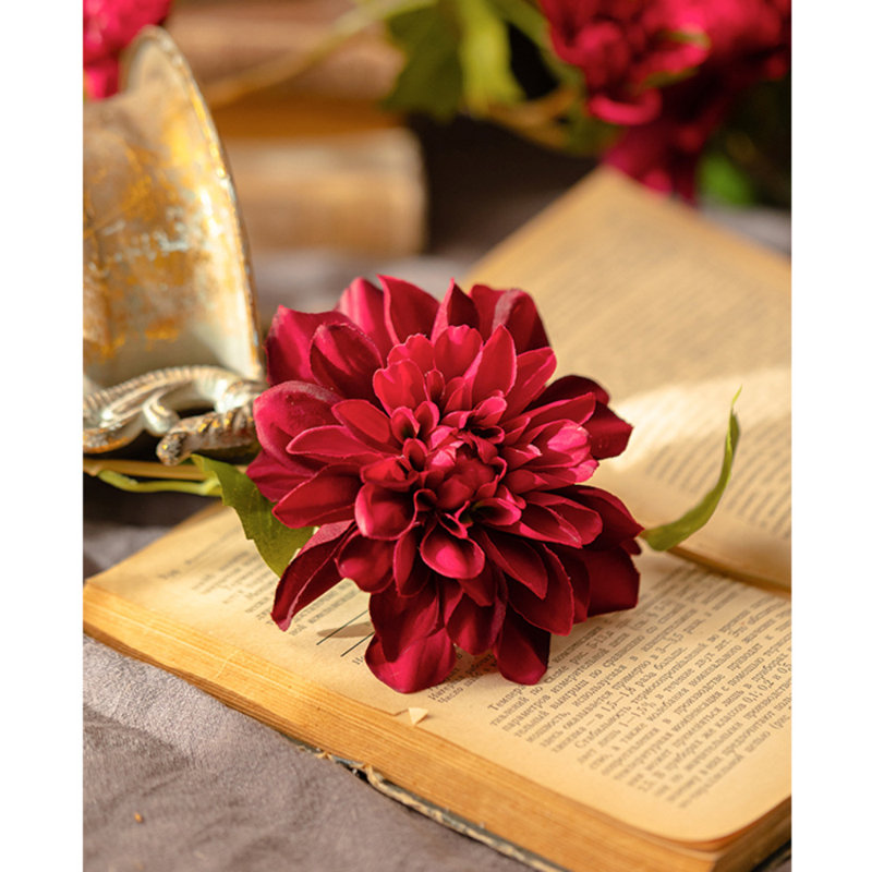 Dahlia Arrangement, Champagne