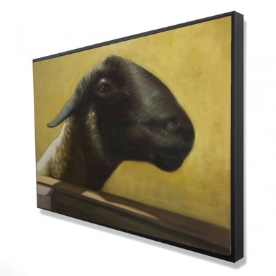 Young Ram Print On Canvas