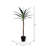Artificial Green Yucca Tree-657066113