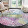 Shaddix Performance Oriental Rug