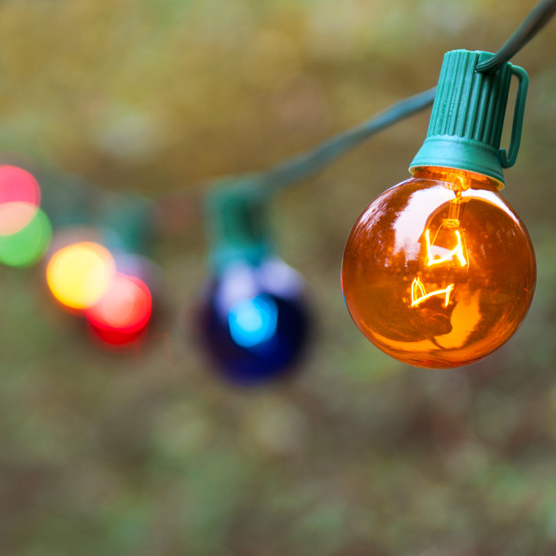 25' Steady Globe String Lights