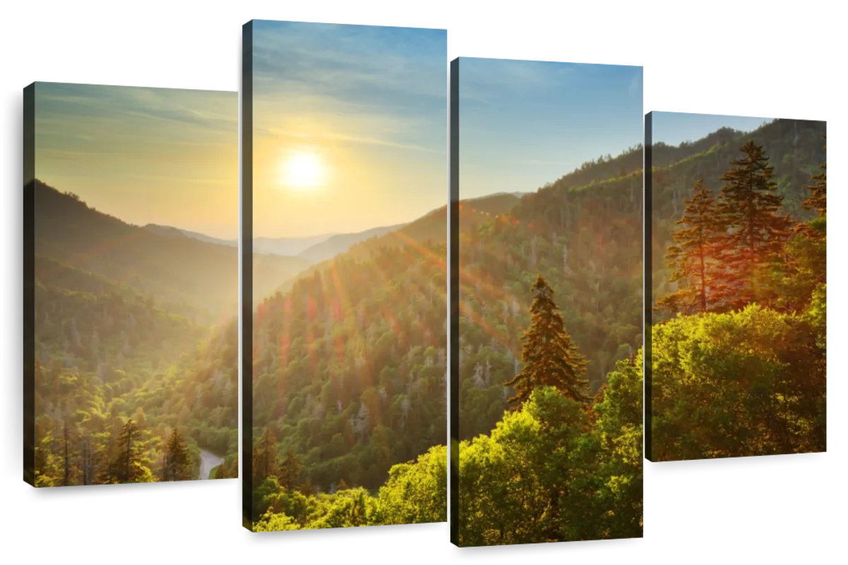 Millwood Pines Alvord Bright Smoky Mountains Sunset | Wayfair