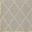 Tapis intérieur / extérieur gris Mckenny-1143134226