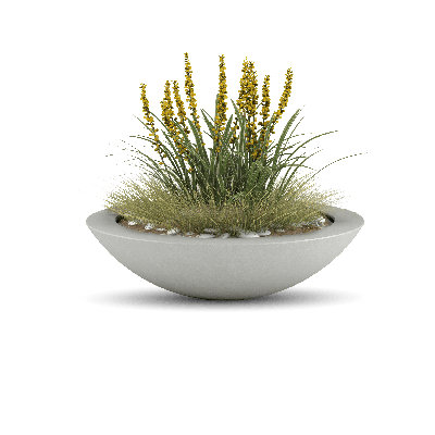 Oceanside Shallow Concrete Planter