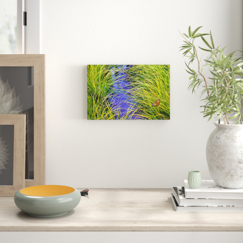 Chris Vest - Wrapped Canvas Print, 30cm H x 45cm W x 3.81cm D