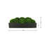 Nature's Nostalgia Moss Plant in Fiberstone Planter-1824800356-1824800363