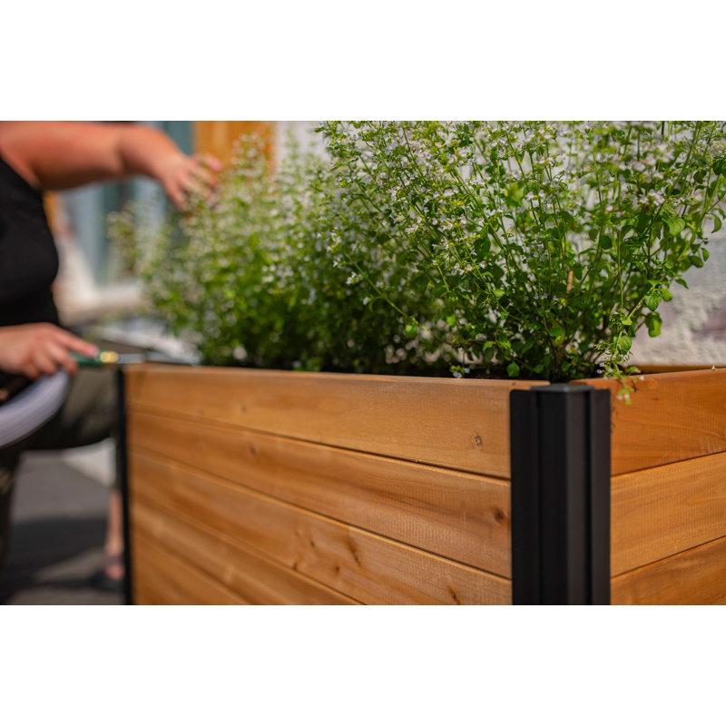 Mezza 39" Cedar Parklette Planter with Black Posts