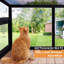 Boîte de fenêtre pour chat Cat
