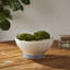 Terra Ceramic Decorative Bowl