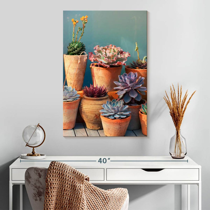 Plante grasse Harnek sur table, H 30 po x l 20 po